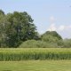 20130607_rentnerfliegen (4)